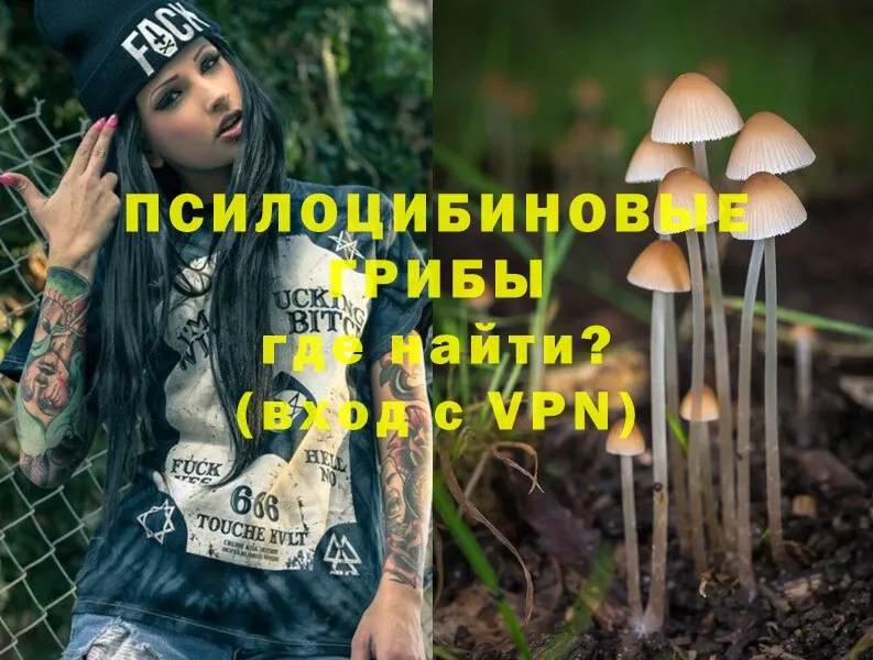 Псилоцибиновые грибы Psilocybine cubensis  Воскресенск 